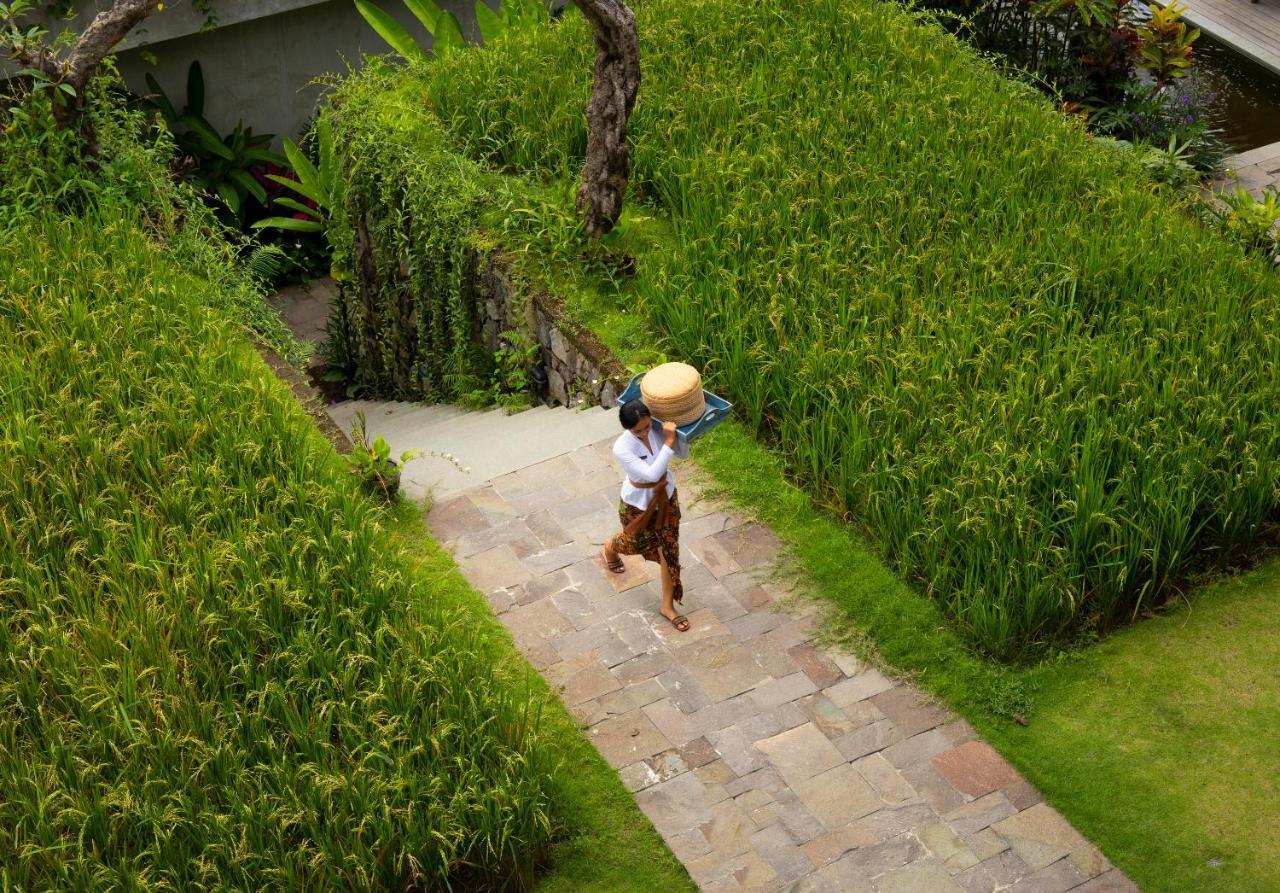 Отель Adiwana Suweta Убуд Экстерьер фото A farmer in Bali